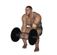 Hammer Curl - Squat Barbell
